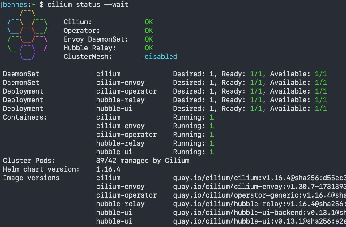 cilium status –wait after some minutes while Hubble is being installed