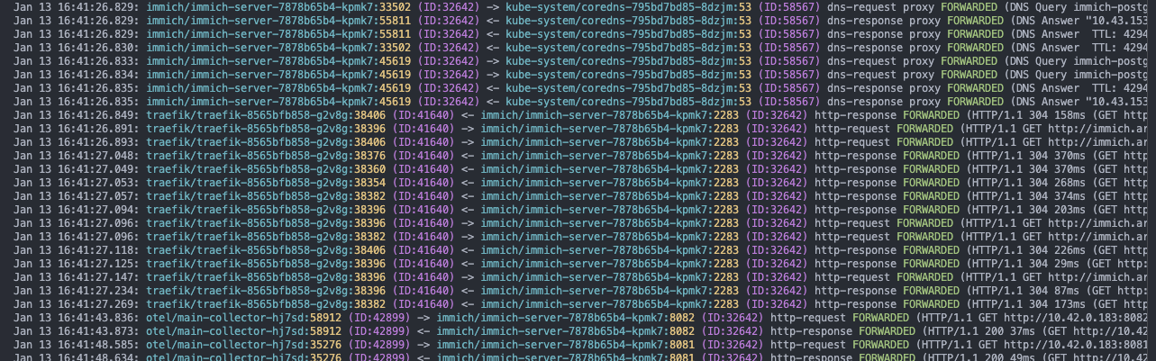 Hubble CLI showing L7 visibility for a specific namespace